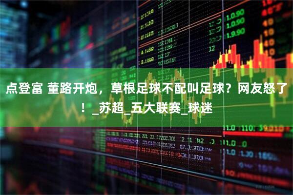 点登富 董路开炮，草根足球不配叫足球？网友怒了！_苏超_五大联赛_球迷