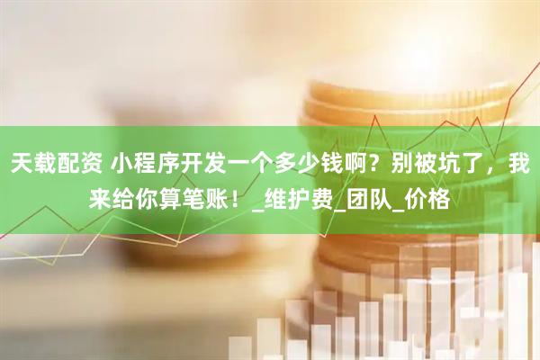 天载配资 小程序开发一个多少钱啊？别被坑了，我来给你算笔账！_维护费_团队_价格