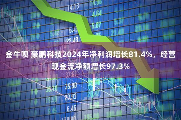 金牛呗 豪鹏科技2024年净利润增长81.4%,经营现金流净额增长97.3%