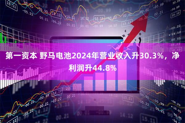 第一资本 野马电池2024年营业收入升30.3%，净利润升44.8%